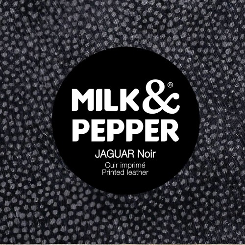 Jaguar Noir - Cover.jpg