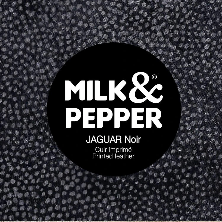 Jaguar Noir - Cover.jpg