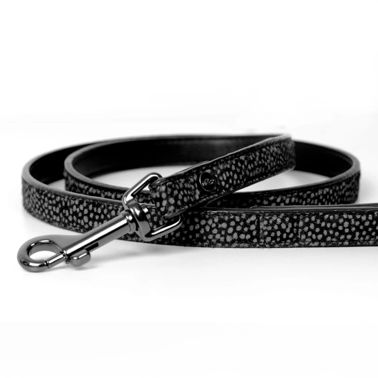 MP4156 Jaguar Noir - Lead.jpg