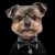 MP4130 - STARDUST Black - Dog .jpg