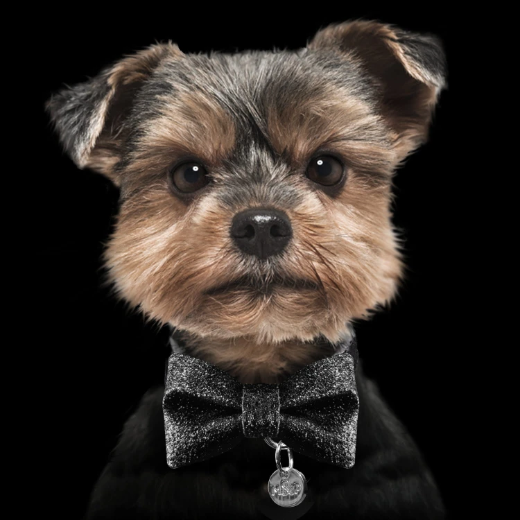 MP4130 - STARDUST Black - Dog .jpg