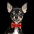 MP4131 - STARDUST Red - Dog .jpg