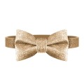 MP4132 - STARDUST Gold - Bow Tie + Collar.jpg