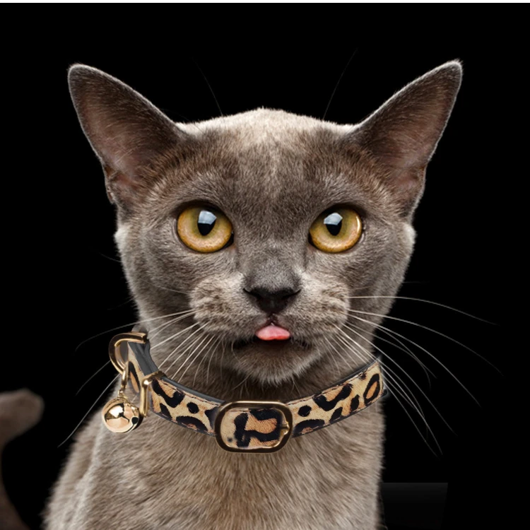 LEOPARD - Collar - Cat.jpg