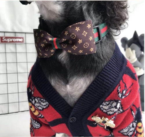 Elegancka mucha dla psa lub kota Royal brown_dog