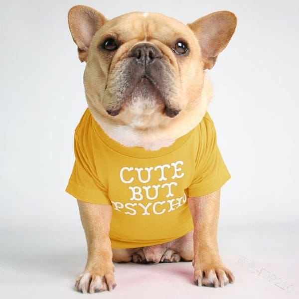 Koszulka dla psa Cute but Psycho yellow