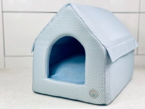 Dog House Blue Sky