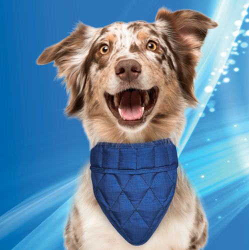 Zrzut ekranu 2021-06-10 o 22.40.31.png