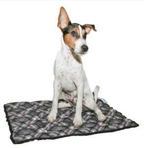 Aquacoolkeeper Cooling Mat for Pets Scottish