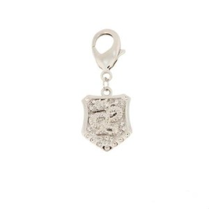 Dragon shield pendant with crystals