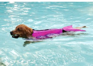 Mermaid Life Dog Vest Jacket Pink