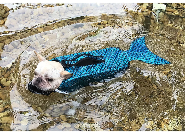kamizelka ratunkowa kapok dla psa syrenka blue