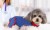 r6.jpg