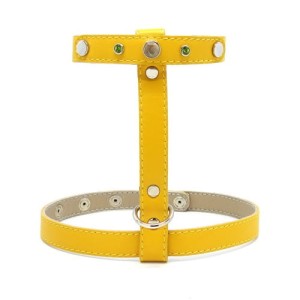 Luxury set: leather harness and leash for cat Smart Animal