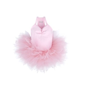 Puppy Angel Dog dress Tutu pink