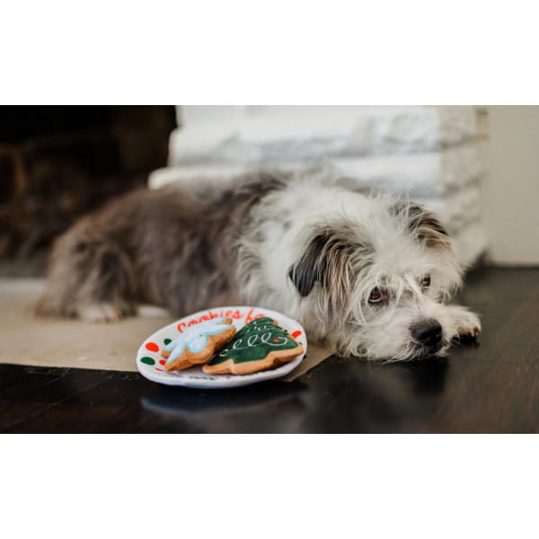 play-merry-woofmas-xmas-eve-cookies (1).jpg