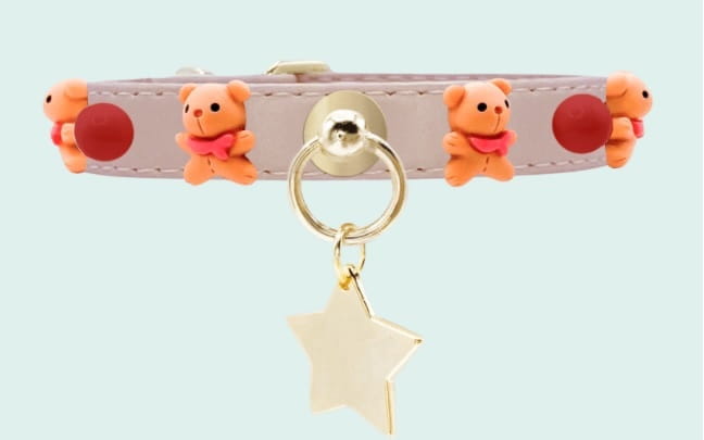 Teddy Bear dog collar.jpg