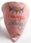 Dog Collar with bandana Happy Birthday pink