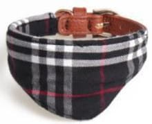 Elegancka obroża dla psa z bandanką New England black