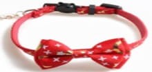 Stylowa mucha dla kota Stars and Moon red