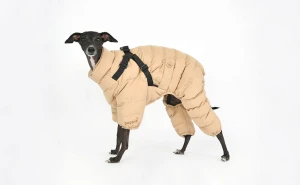 2 w 1: Ultralekki kombinezon+szelki dla psa Puppia Onesie beige