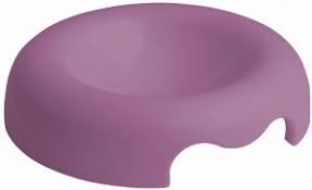 Cat bowl Kitty purple