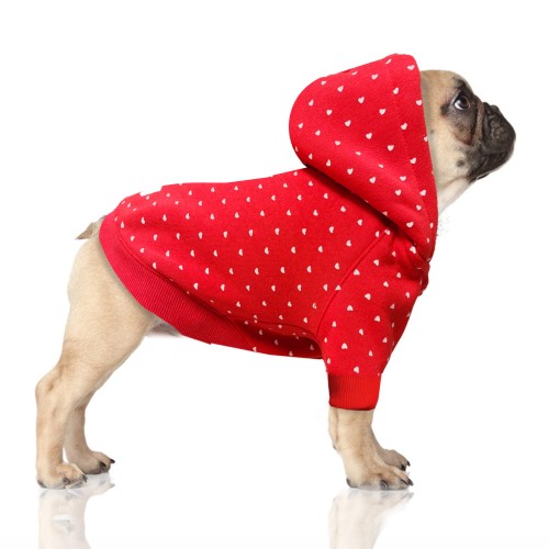 MP1842 JULIETTE Dog 2.jpg