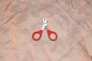 Claw Scissors for small dog, cat
