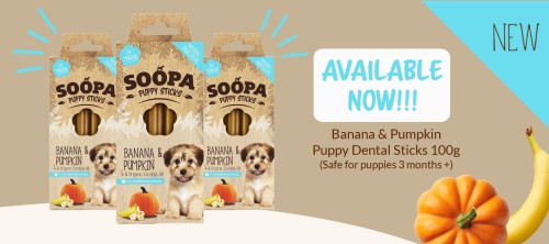 soopa-dental-banan-dynia-2.jpg