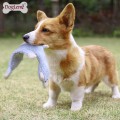 Szarpak-dla-psa_PD60092-dog.jpeg