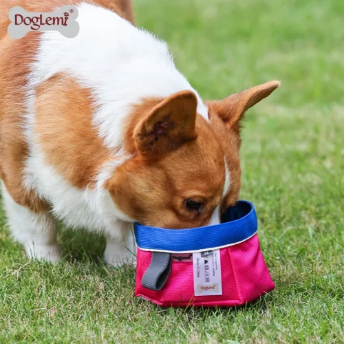 doglemi miska-podróżna-róż2.webp