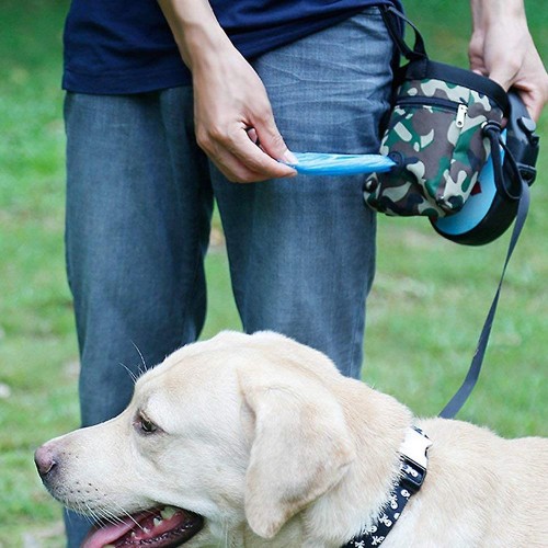 DOGLEMI-TREAT-TOTE -CAMO3.jpg