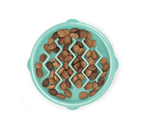 Fun-feeder-mint2.jpg