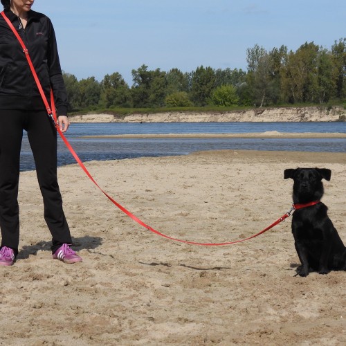 smart-animal-biothane-red1.jpg