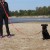 smart-animal-biothane-red1.jpg