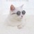 fashion_pet_sunglasses.jpeg