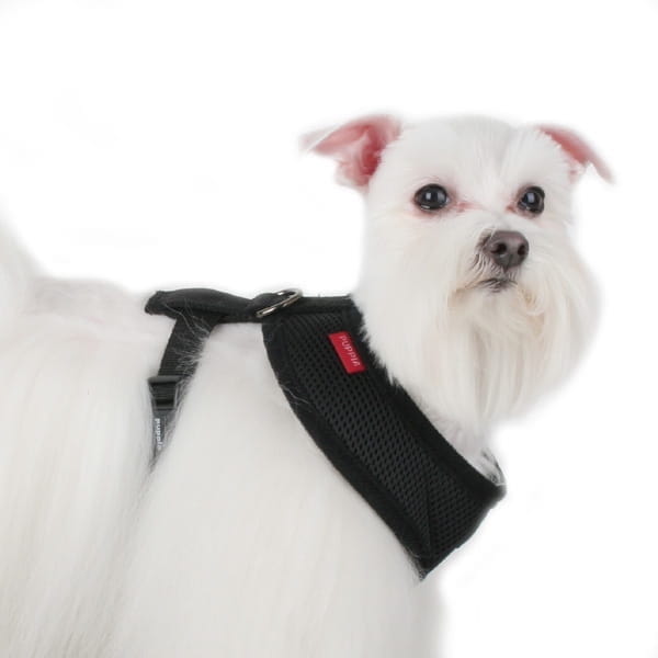 Bezuciskowe szelki dla psa i kota puppia soft black czarne