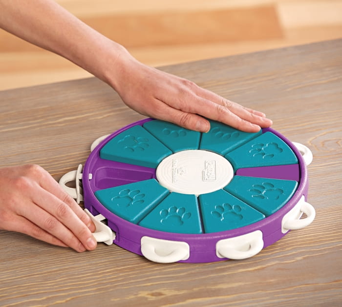 nina-dog-twister3.jpg