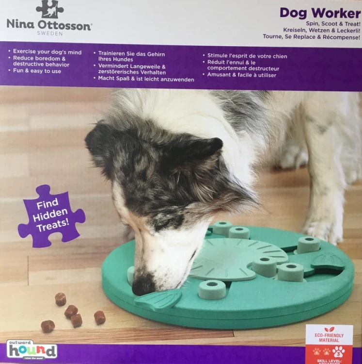 nina-dog-worker3.JPG