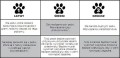 nina-dog-worker4.jpg