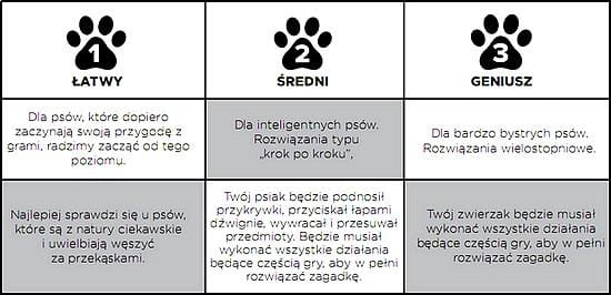 nina-dog-worker4.jpg