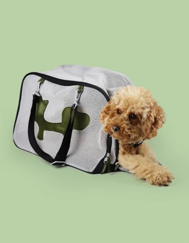 de-mesh-bag-transporter-lotniczy-dla-psa.webp