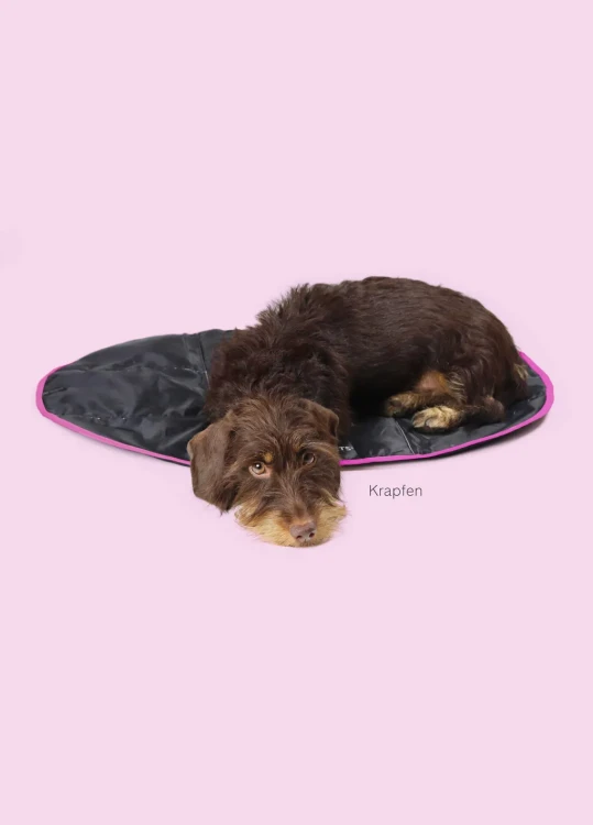 LAZY -DOG- FUKSIA.webp