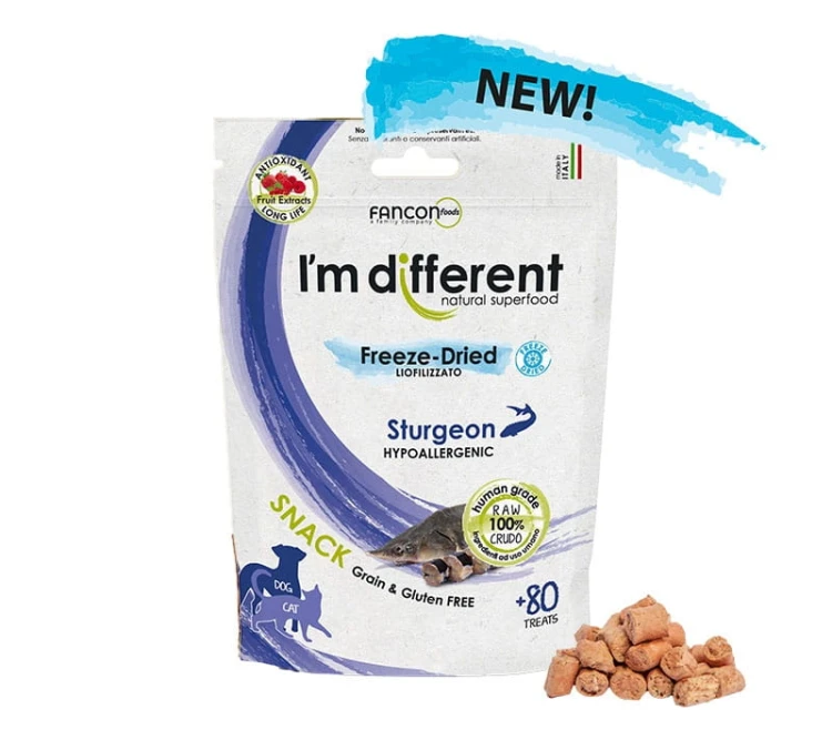 im-different-jesiotr.jpg