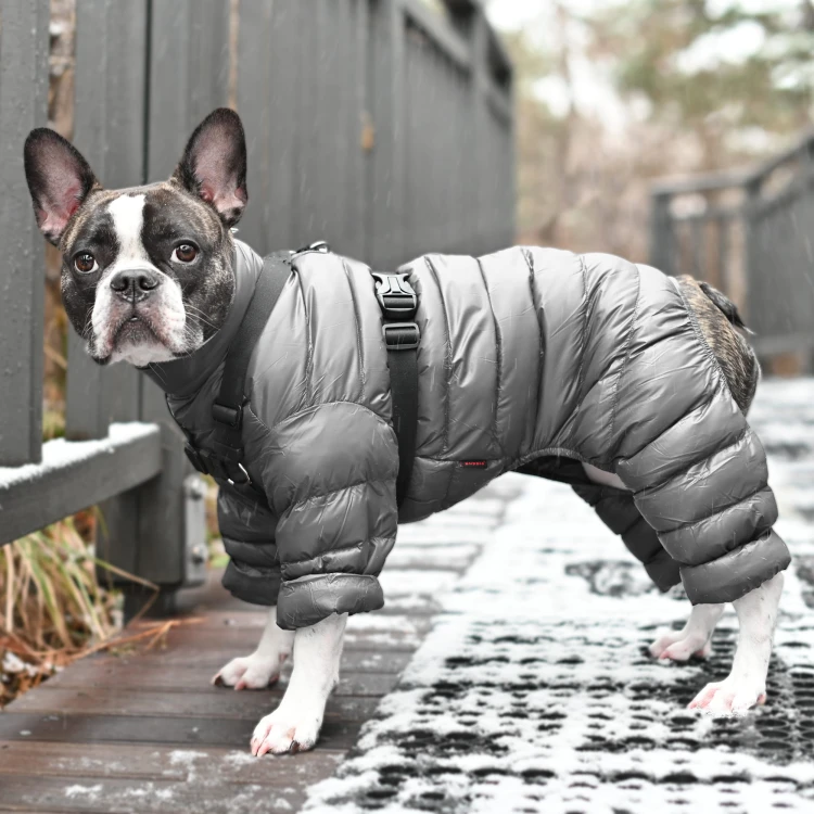 Zimowy kombinezon dla psa Puppia Ultra light A grey