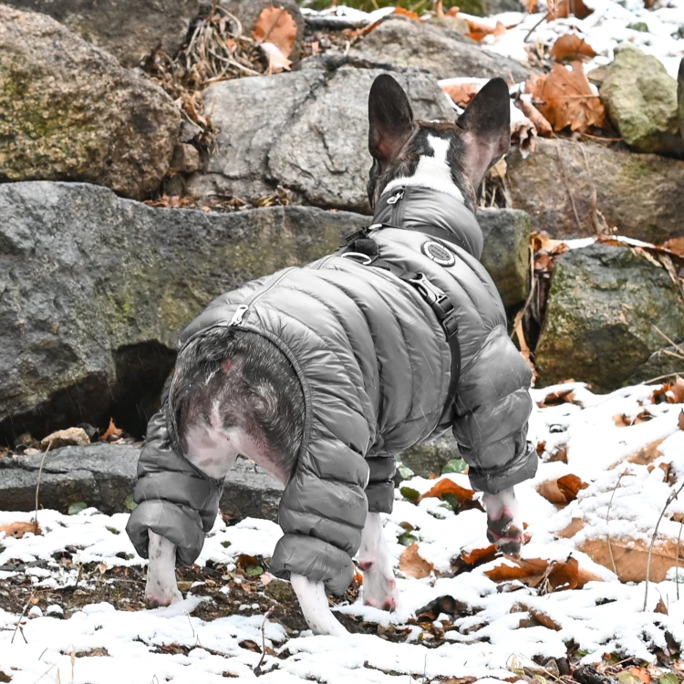 Zimowy kombinezon dla psa Puppia Ultra light A grey
