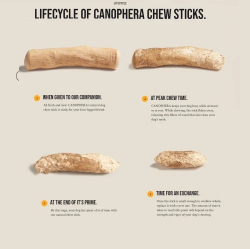 canophera2.webp