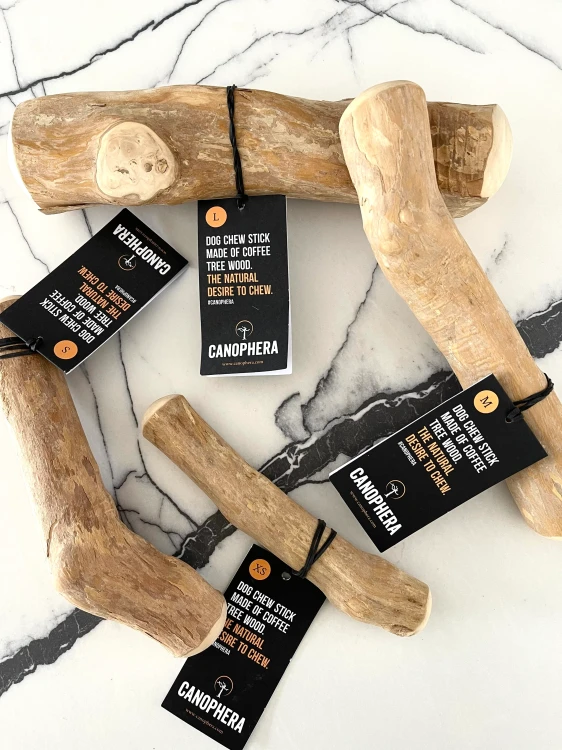 canophera3.webp
