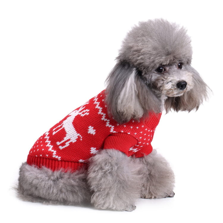 Świąteczny sweterek dla psa Christmas Reindeer