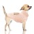 MP1937 - OSLO Rose Dog.jpg